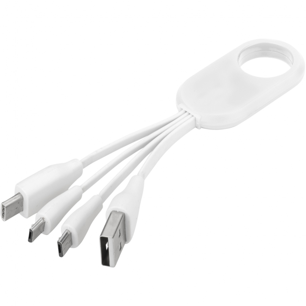Logotrade werbemittel das Foto: Troup 4-in-1-Ladekabel mit Typ C Spitze