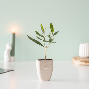 Logotrade Geschäftsgeschenke das Foto: Treemore Briefkasten Bäume Olive