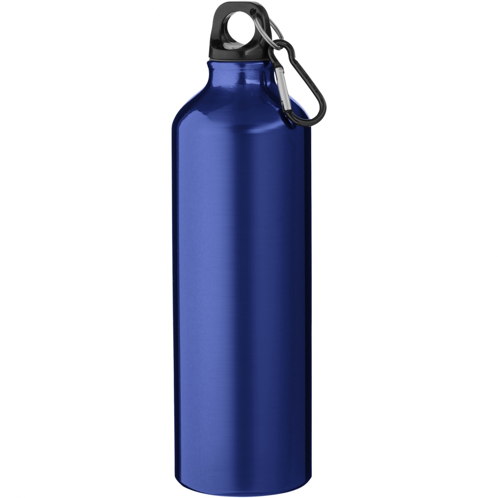Logo trade promotional merchandise image of: Oregon 770 ml aluminium water bottle with carabiner