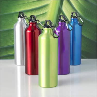 Logotrade corporate gift image of: Oregon 770 ml aluminium water bottle with carabiner