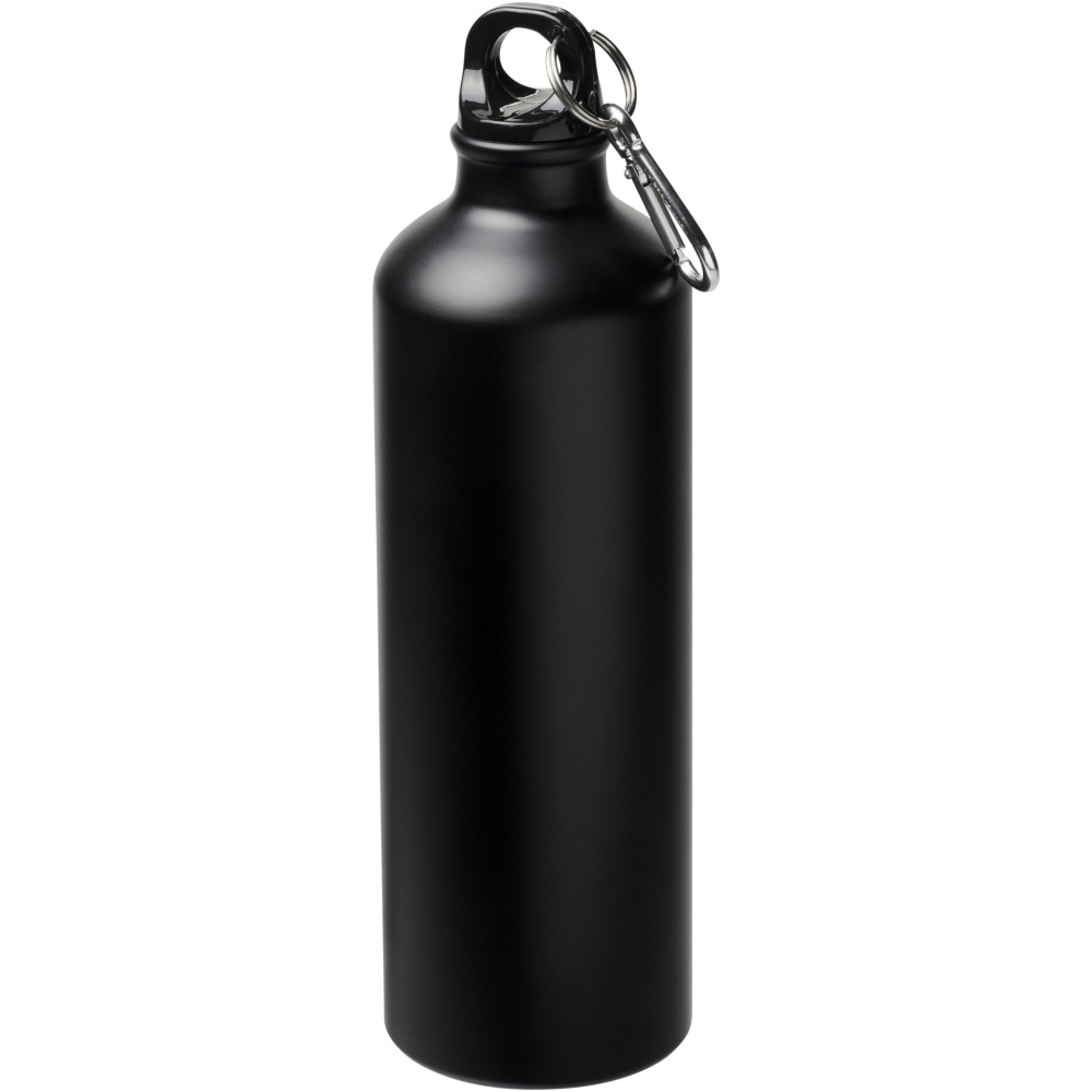 Logo trade business gift photo of: Oregon 770 ml matte water bottle with carabiner