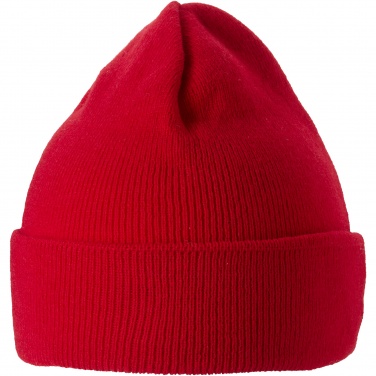 Logo trade promotional item photo of: Irwin beanie