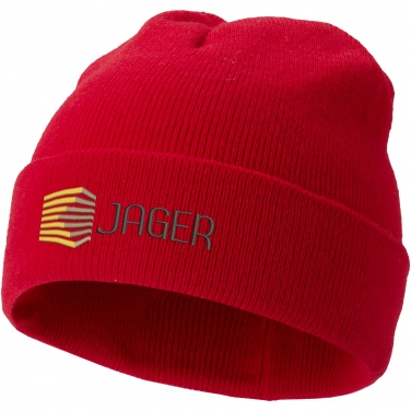 Logotrade promotional merchandise photo of: Irwin beanie