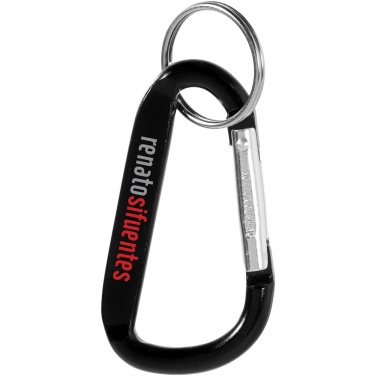 Logotrade promotional gift picture of: Timor carabiner keychain