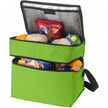 Logo trade promotional giveaways picture of: Oslo 2-zippered compartments cooler bag 13L
