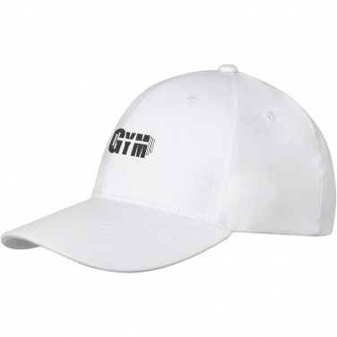 Logotrade promotional gift image of: Davis 6 panel cap