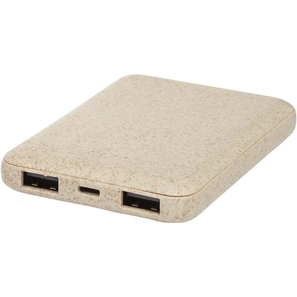 Logo trade promotional gift photo of: Asama 5000 mAh wheat straw power bank