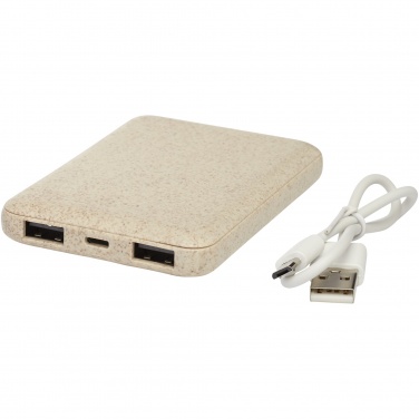 Logo trade corporate gifts picture of: Asama 5000 mAh wheat straw power bank