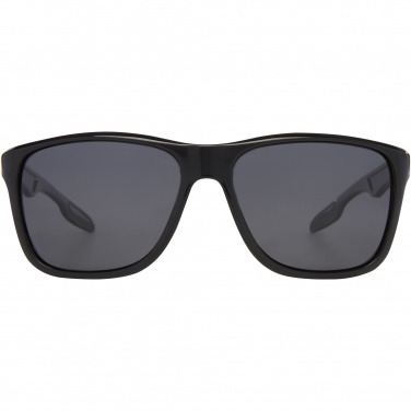 Logotrade promotional merchandise picture of: Eiger polarized sunglasses in recycled PET casing