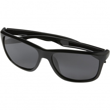 Logotrade promotional merchandise picture of: Eiger polarized sunglasses in recycled PET casing