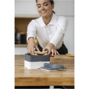 Logo trade promotional merchandise picture of: MIYO double layer lunch box