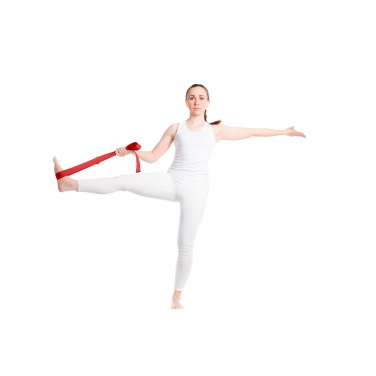 Logo trade business gift photo of: Virabha RPET yoga strap