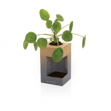Logotrade advertising product image of: Avira Alya RCS Re-steel tumbler 300 ml