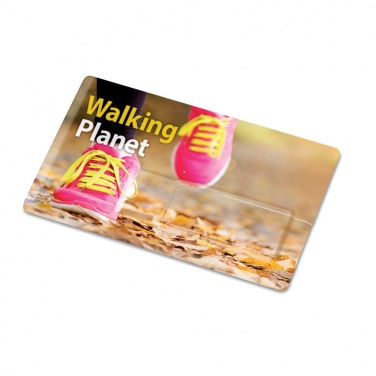 Logo trade promotional gifts image of: Creditcard. USB flash 16GB