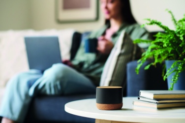 Logotrade promotional giveaway image of: Cork and aluminium speaker