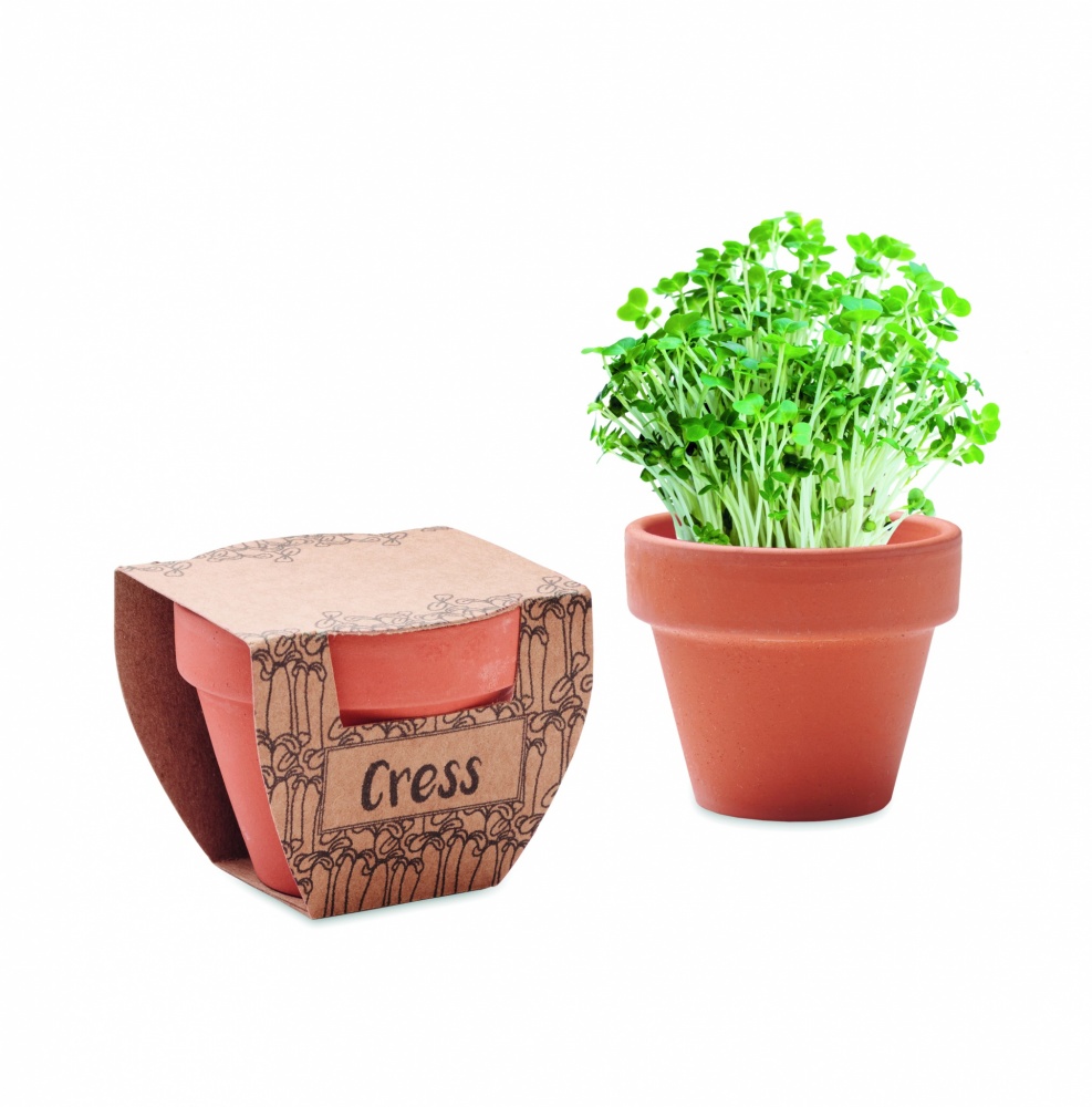 Logotrade promotional gift picture of: Terracotta pot cress seeds