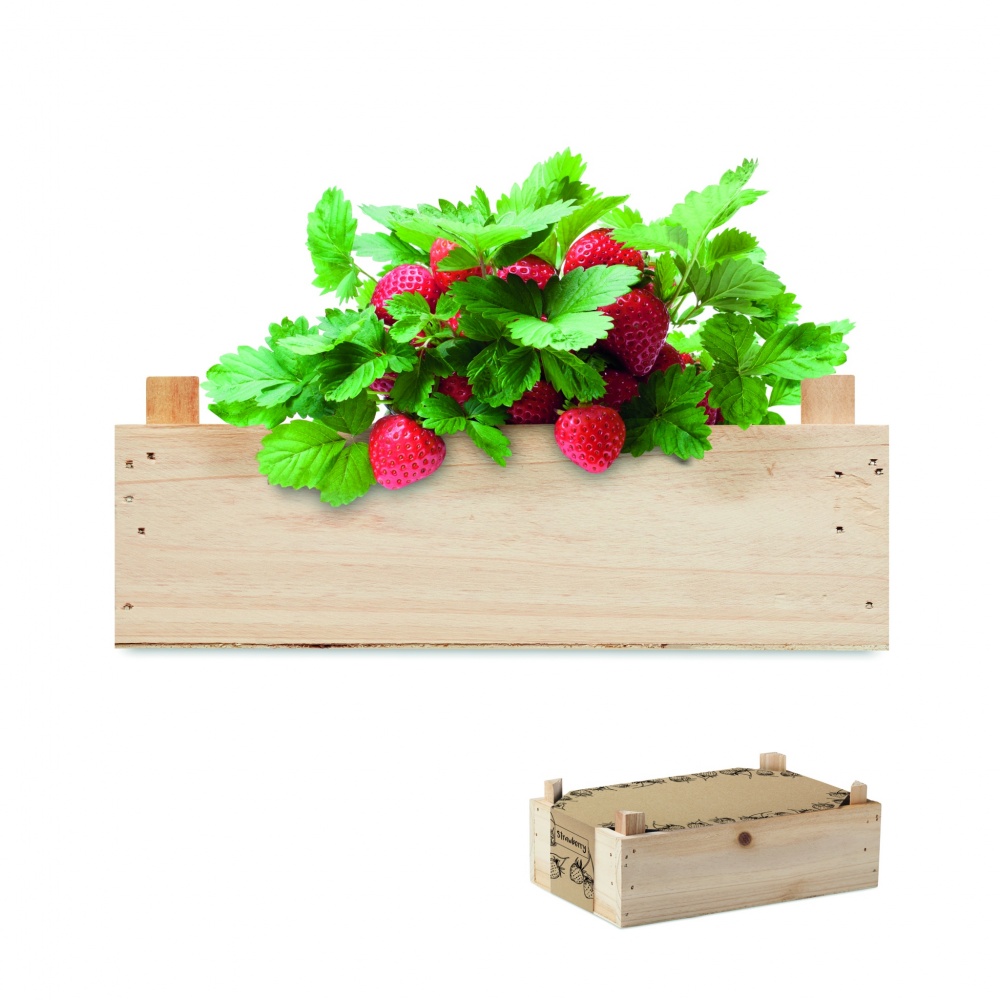 Logotrade promotional merchandise image of: Strawberry kit in wooden crate
