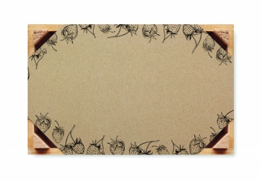 Logotrade promotional giveaway image of: Strawberry kit in wooden crate