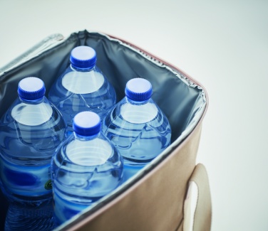 Logo trade advertising products image of: Large cooler bag canvas 450gr/m