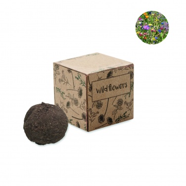 Logotrade promotional merchandise image of: Seed bomb growing kit
