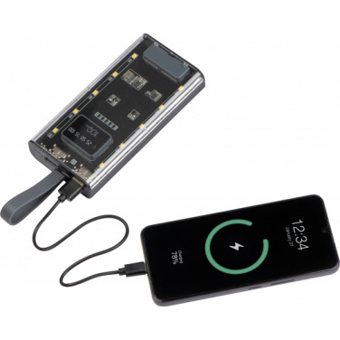 Logo trade promotional product photo of: Power bank 10 000 mAh DARWIN