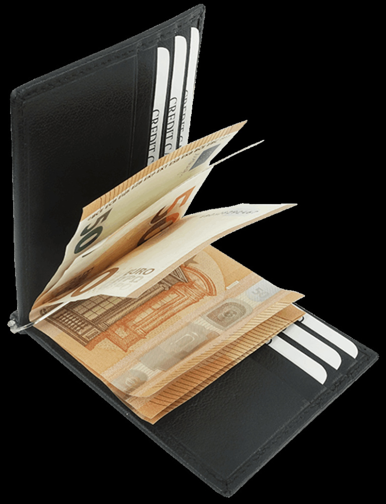 Logo trade promotional items picture of: Wallet 38005200