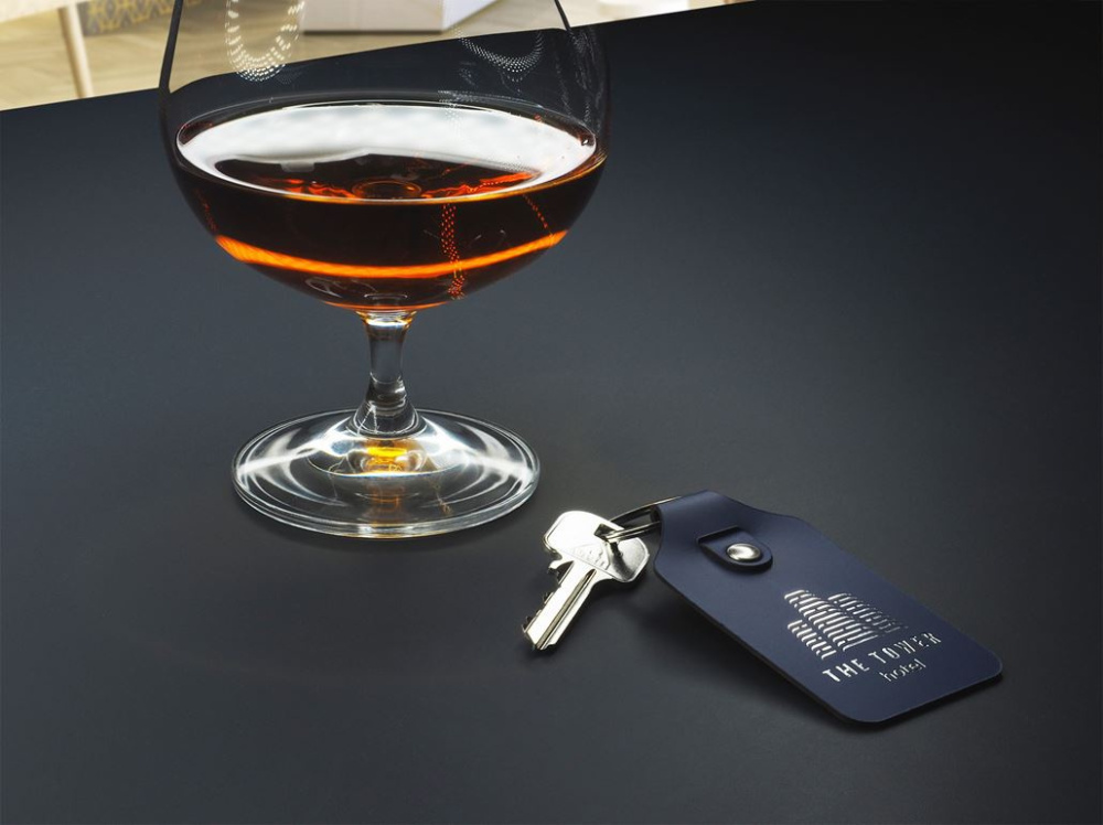 Logotrade promotional gift picture of: Keyring 1200094