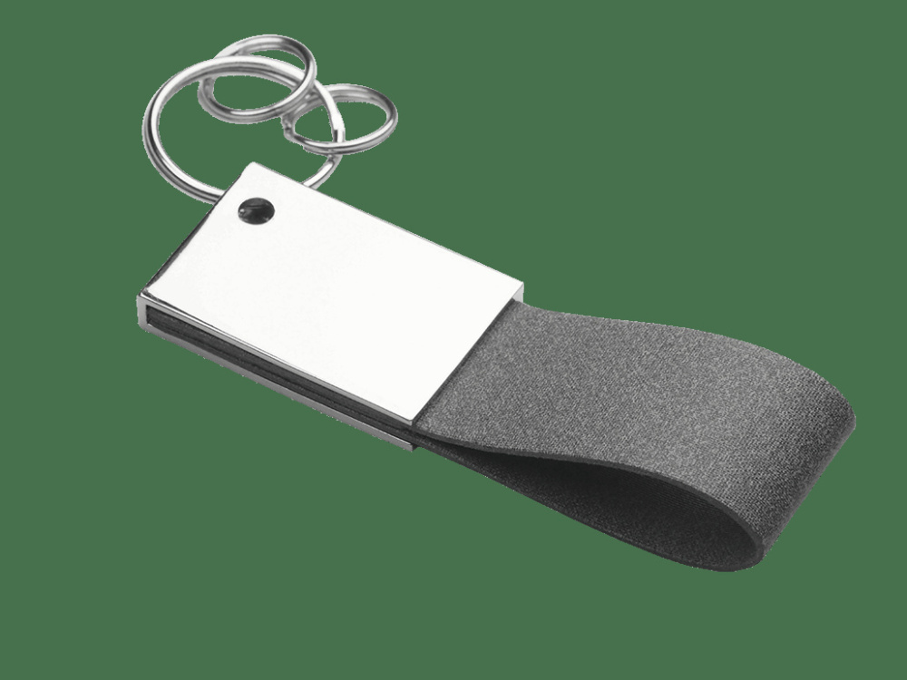 Logo trade promotional item photo of: Keyring 909323