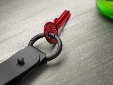 Logotrade promotional giveaway image of: Keyring 1709094