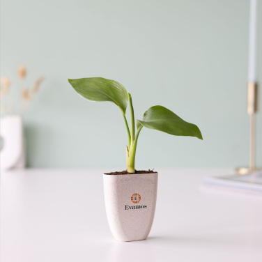 Logo trade promotional merchandise image of: Treemore Letterbox Trees Bird of Paradise plant