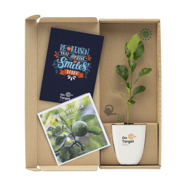 Logo trade advertising products image of: Treemore Letterbox Trees Kaffir Lemon