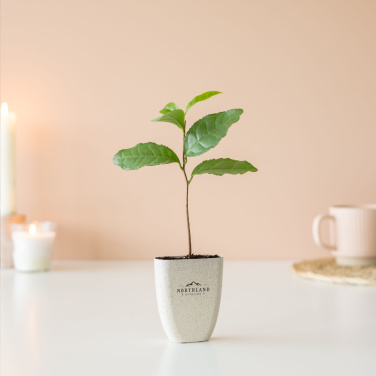 Logotrade promotional gifts photo of: Treemore Letterbox Trees Tea plant
