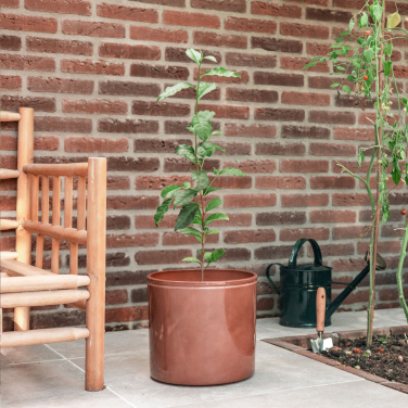 Logotrade promotional giveaways photo of: Treemore Letterbox Trees Tea plant