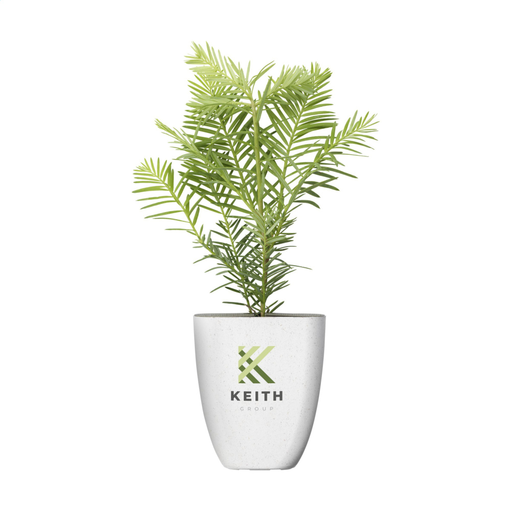 Logotrade corporate gift image of: Treemore Letterbox Trees Giant Sequoia