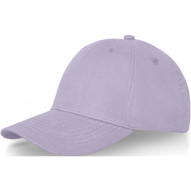 Logo trade promotional giveaway photo of: Davis 6 panel cap