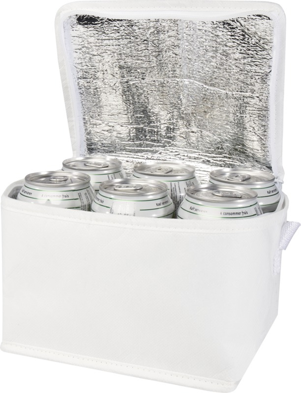 Logotrade promotional merchandise image of: Spectrum 6-can recycled non-woven cooler bag 4L