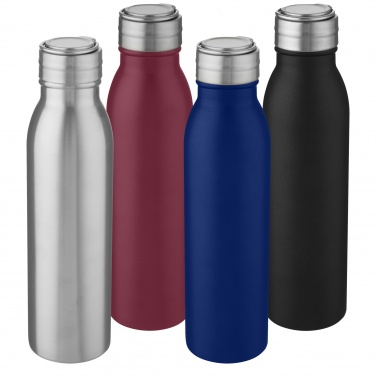 Logotrade ärikingi foto: Harper 700 ml roostevabast terasest veepudel metallist aasaga