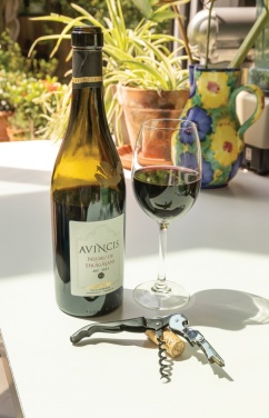 Logo trade ärikingituse pilt: Vino Waiters korgitser