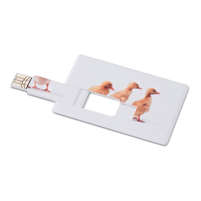 Logo trade firmakingi pilt: Krediitkaart. USB-välkmälu 32GB