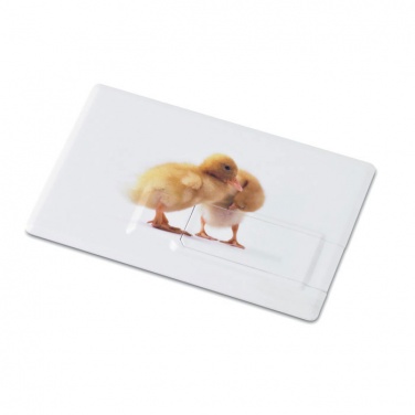 Logo trade meene pilt: Krediitkaart. USB-välkmälu 32GB