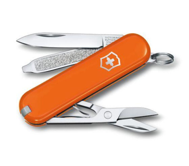 Logo trade reklaamkingituse pilt: Taskunuga CLASSIC SD Victorinox