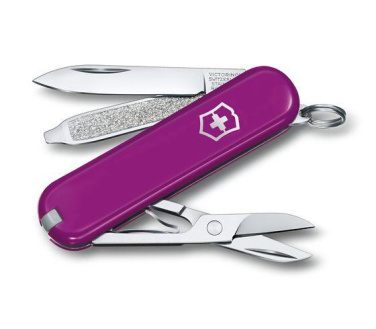 Logotrade meene foto: Taskunuga CLASSIC SD Victorinox