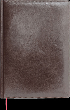 Logotrade ärikingitused pilt: Kalendermärkmik 642131