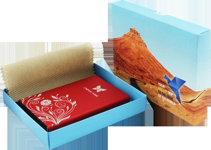 Logotrade firmakingid pilt: Karp (24x16,5x2,8cm) 986117
