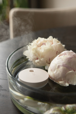 Logotrade meene foto: Breevia RCS plastikust laetav ujuv õhuniisutaja