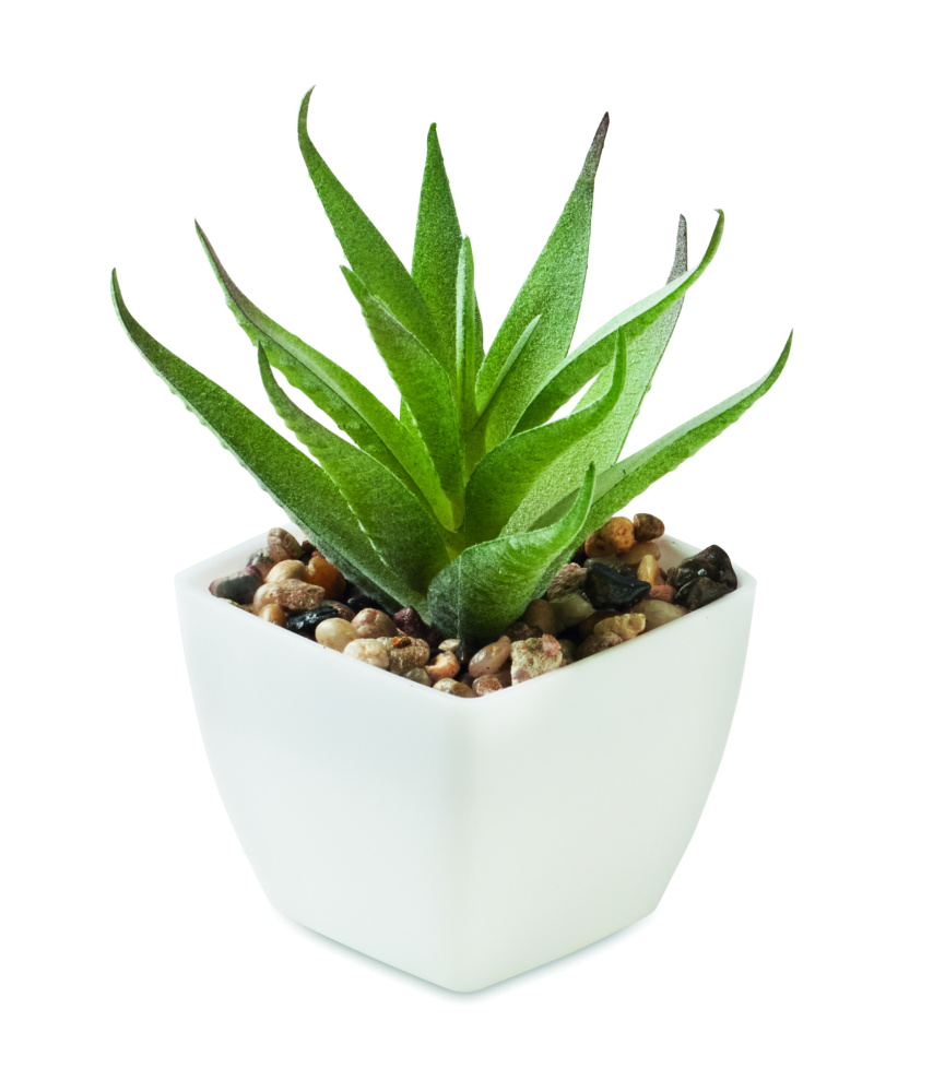 Logo trade firmakingi pilt: ARTILOE mini aaloe kunsttaim