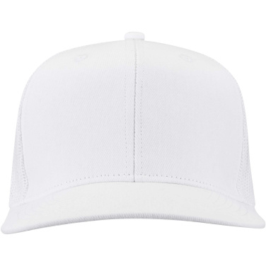 Logo trade firmakingituse pilt: Drift Snapback 260 g/m2 6 paneeliga nokamüts