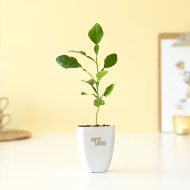 Logotrade reklaminiai produktai nuotrauka: Treemore pašto dėžutės medžiai Kaffir Lemon