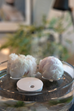 Logotrade verslo dovanos nuotrauka: „Breevia RCS“ plastikinis įkraunamas plaukiojantis drėkintuvas