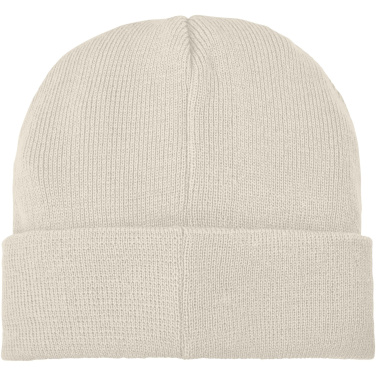 Logotrade reklaminės dovanos nuotrauka: Boreas beanie su pleistru